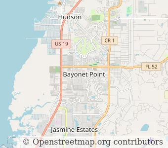 City Bayonet Point minimap