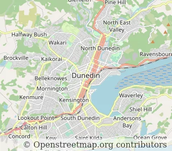 City Dunedin minimap