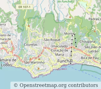 City Funchal minimap