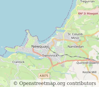 City Newquay minimap