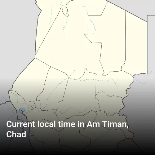 Current local time in Am Timan, Chad