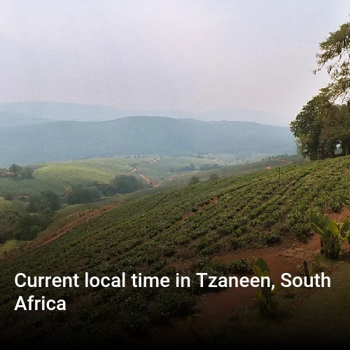 Current local time in Tzaneen, South Africa