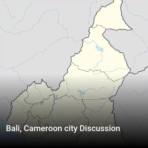 Bali, Cameroon city Discussion
