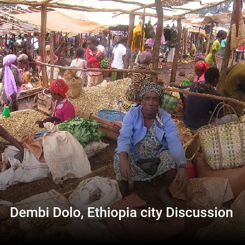 Dembi Dolo, Ethiopia city Discussion