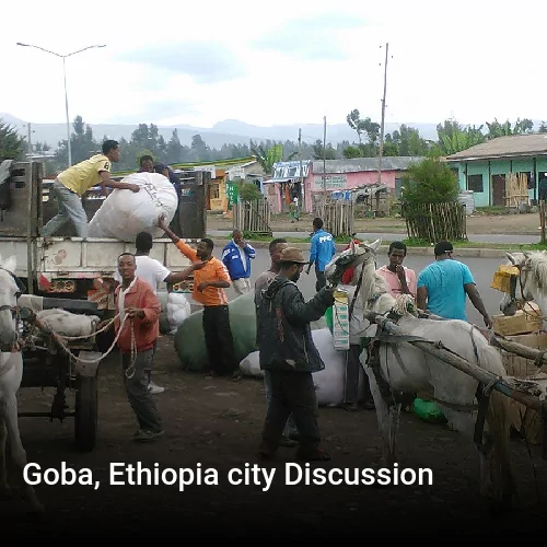 Goba, Ethiopia city Discussion