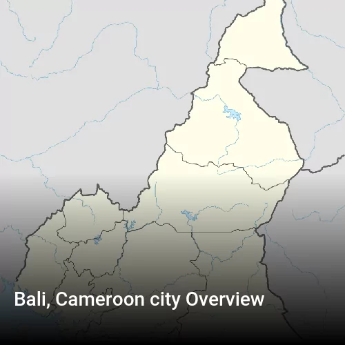 Bali, Cameroon city Overview