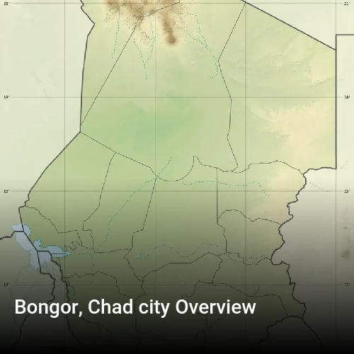 Bongor, Chad city Overview