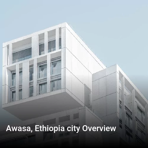 Awasa, Ethiopia city Overview