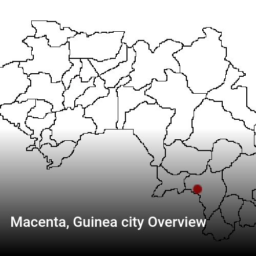 Macenta, Guinea city Overview