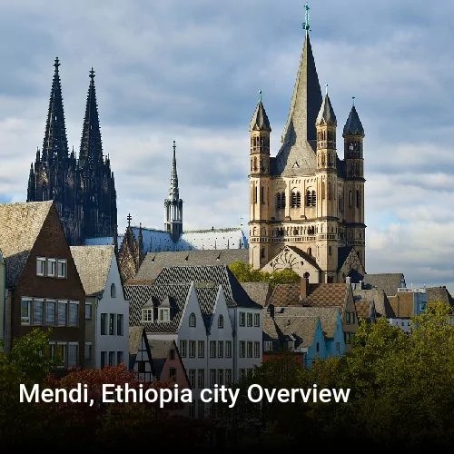 Mendi, Ethiopia city Overview