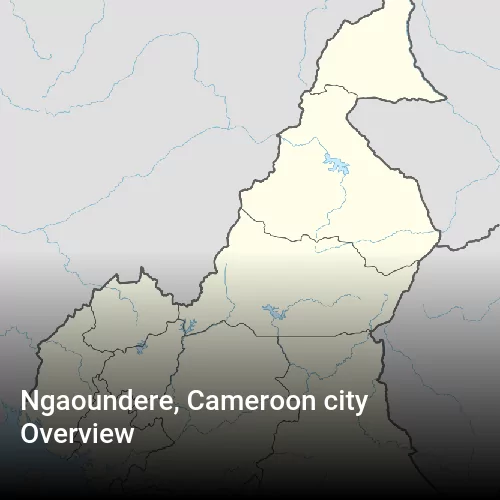 Ngaoundere, Cameroon city Overview