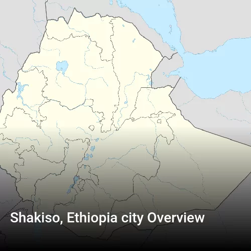 Shakiso, Ethiopia city Overview