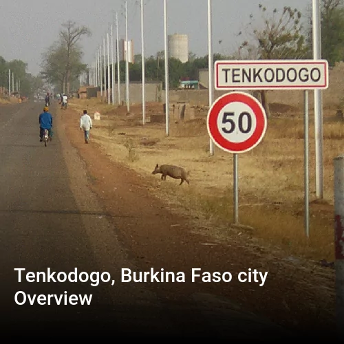 Tenkodogo, Burkina Faso city Overview