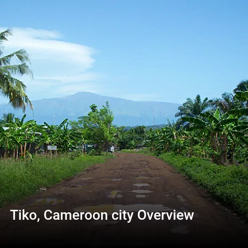 Tiko, Cameroon city Overview