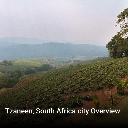 Tzaneen, South Africa city Overview
