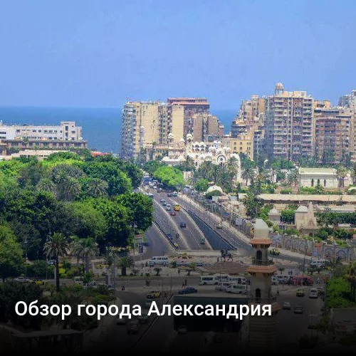 Обзор города Александрия
