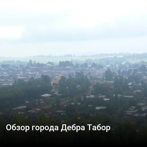 Обзор города Дебра Табор