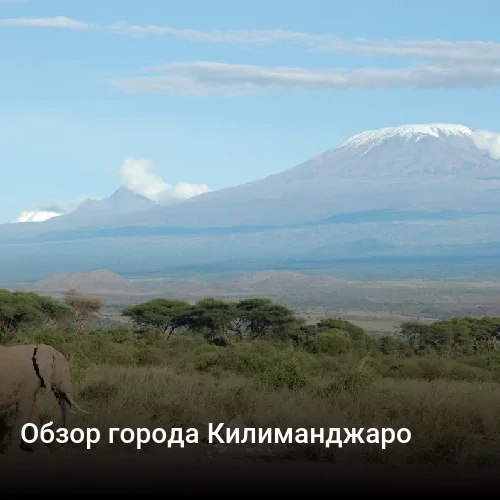 Обзор города Килиманджаро