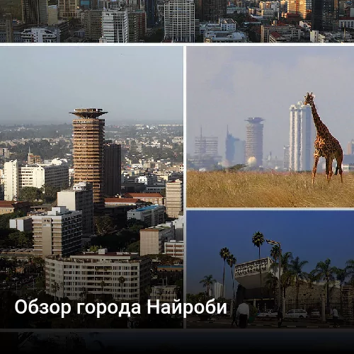 Обзор города Найроби
