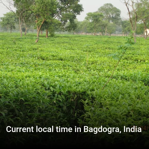 Current local time in Bagdogra, India