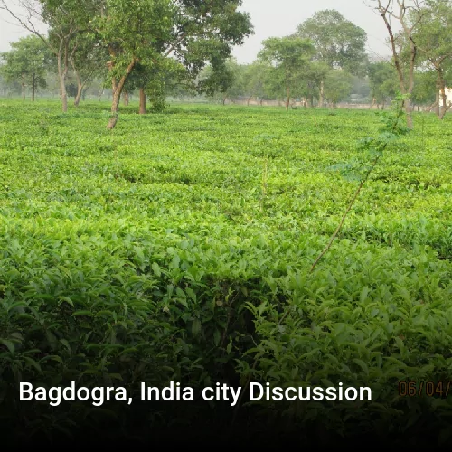 Bagdogra, India city Discussion