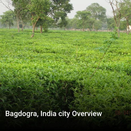 Bagdogra, India city Overview