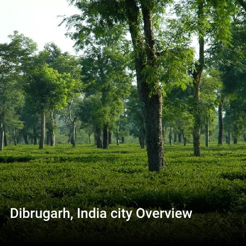 Dibrugarh, India city Overview