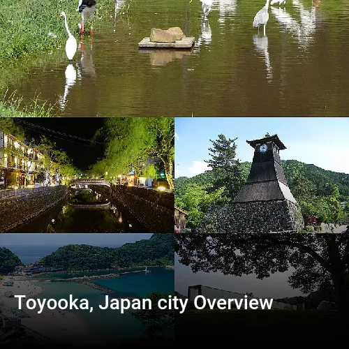 Toyooka, Japan city Overview