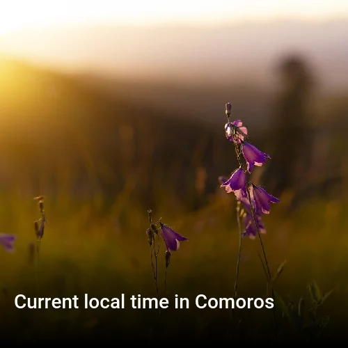 Current local time in Comoros