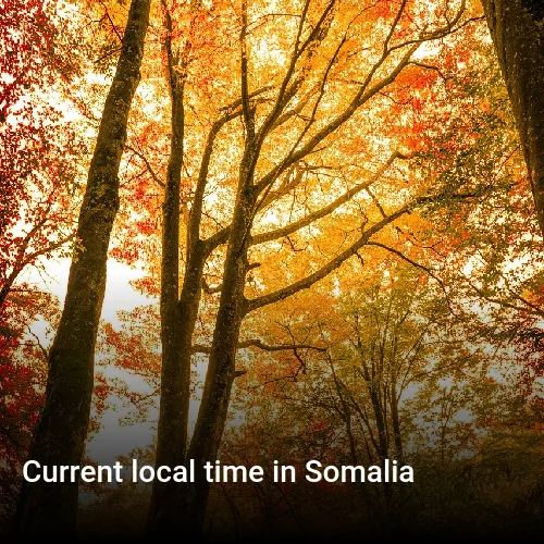 Current local time in Somalia
