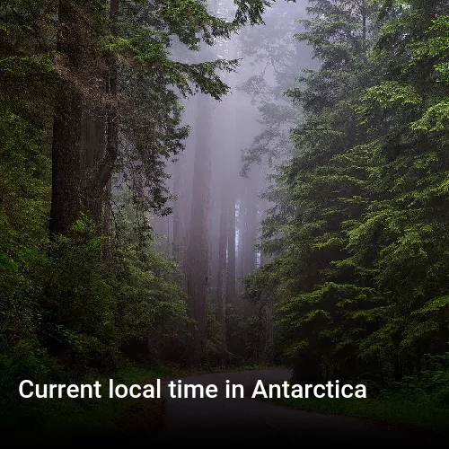 Current local time in Antarctica