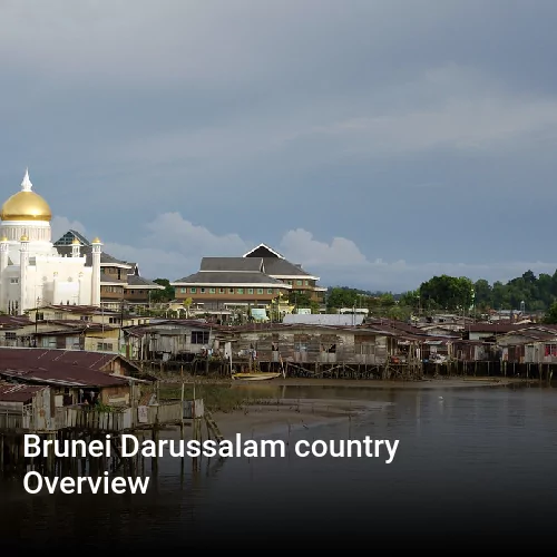Brunei Darussalam country Overview