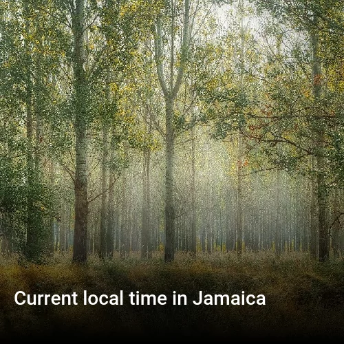 Точное время в стране Ямайка