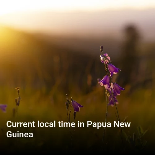 Точное время в стране Папуа-Новая Гвинея