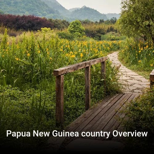 Papua New Guinea country Overview