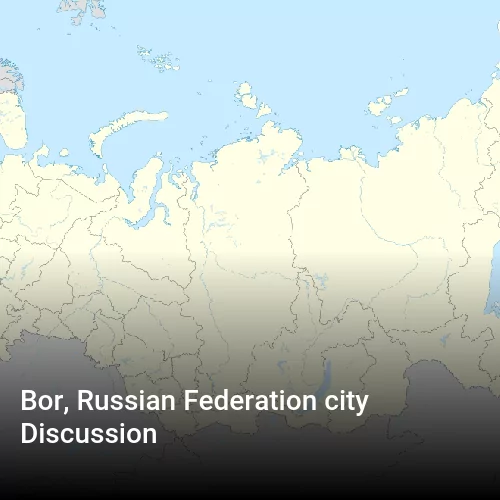 Bor, Russian Federation city Discussion