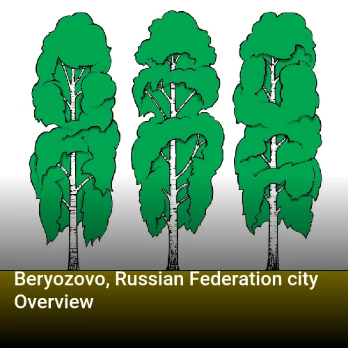 Beryozovo, Russian Federation city Overview