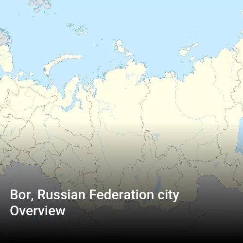 Bor, Russian Federation city Overview