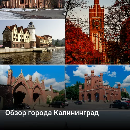 Обзор города Калининград