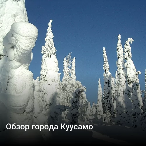 Обзор города Куусамо Обзор города Куусамо