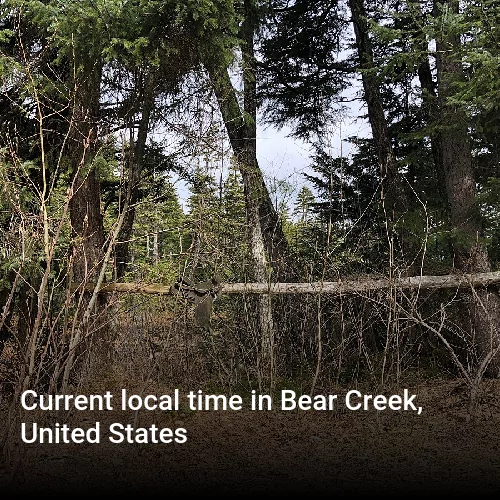 Current local time in Bear Creek, United States