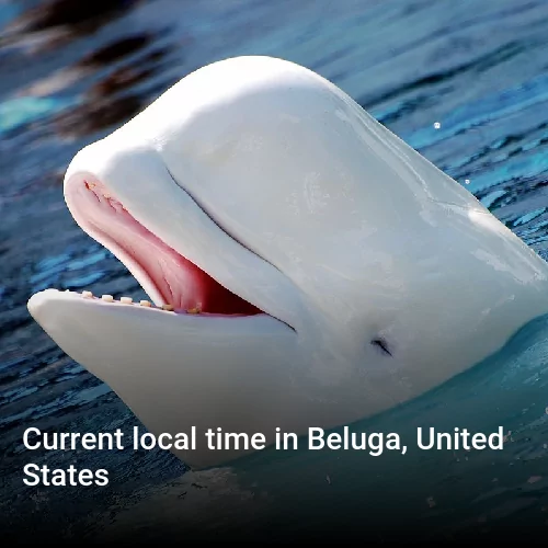 Current local time in Beluga, United States