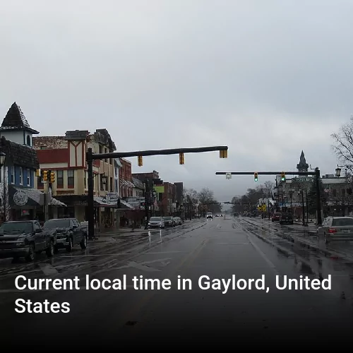 Current local time in Gaylord, United States