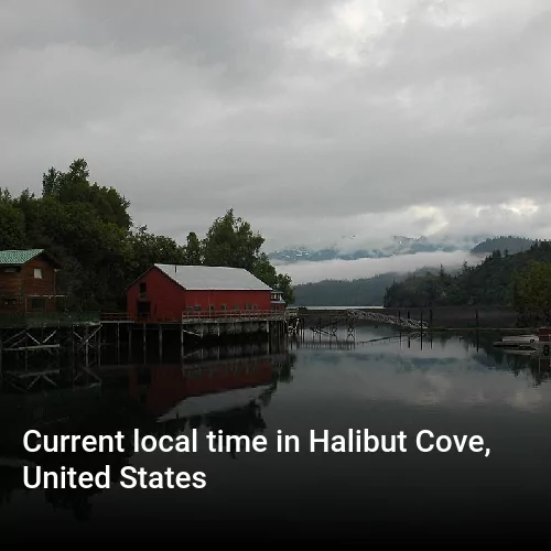 Current local time in Halibut Cove, United States