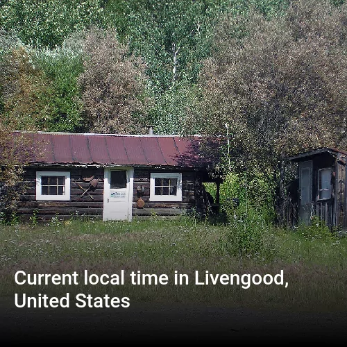 Current local time in Livengood, United States