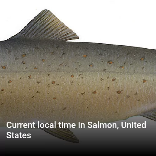 Current local time in Salmon, United States