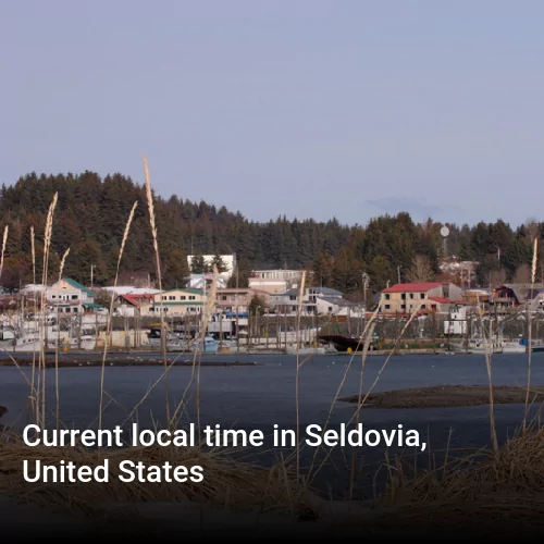 Current local time in Seldovia, United States