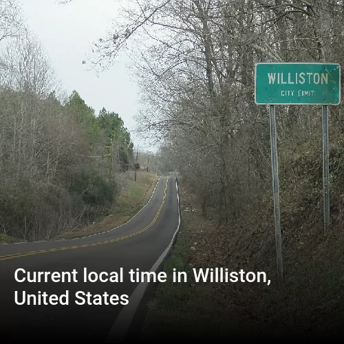 Current local time in Williston, United States