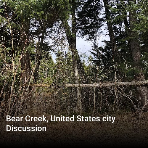 Bear Creek, United States city Discussion