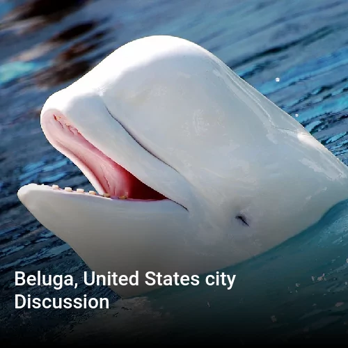 Beluga, United States city Discussion